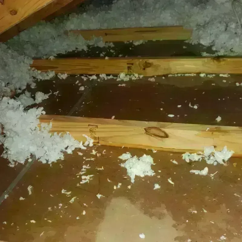 Attic Water Damage in Jeffersonville, OH